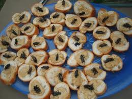 wild and wacky food